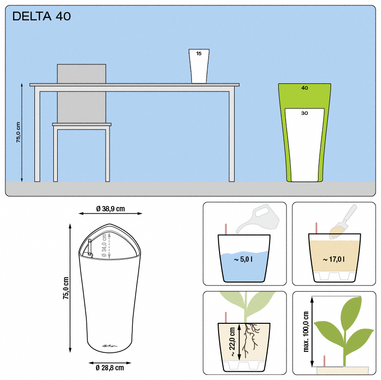 office plants
